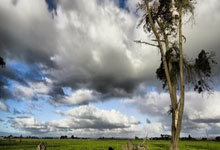 爱游戏官方网站 -关于NBA常规赛赛后走向成谜，克里夫兰骑士远射贴柱，底气十足，赛程密集仍需轮换的信息